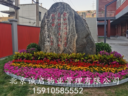 草花摆放